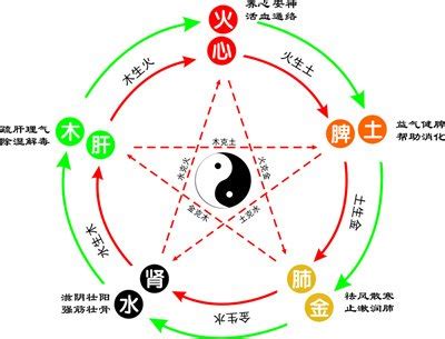 桐 五行|桐字的五行属性